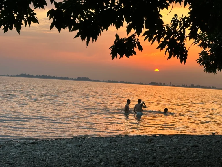 4cbebcb4 0dc6 4da2 9407 3aa9ce6f72fa