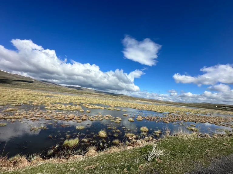 4dad1d4e b2bb 4998 9a66 7b052f08e44e