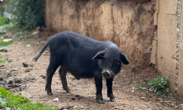 Blog Tag 167 500cc236 1b51 4367 b902 776e119c24cc