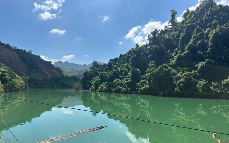 51401d22 b3a2 4c35 b245 7b471241c636