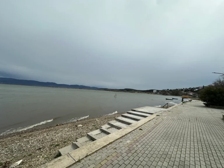 55880a96 71b9 4e32 8e60 073354c9af66