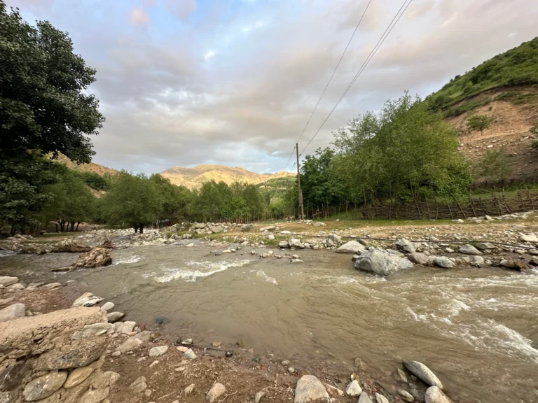 5601eab8 7e22 43cc a149 35cdb354258f