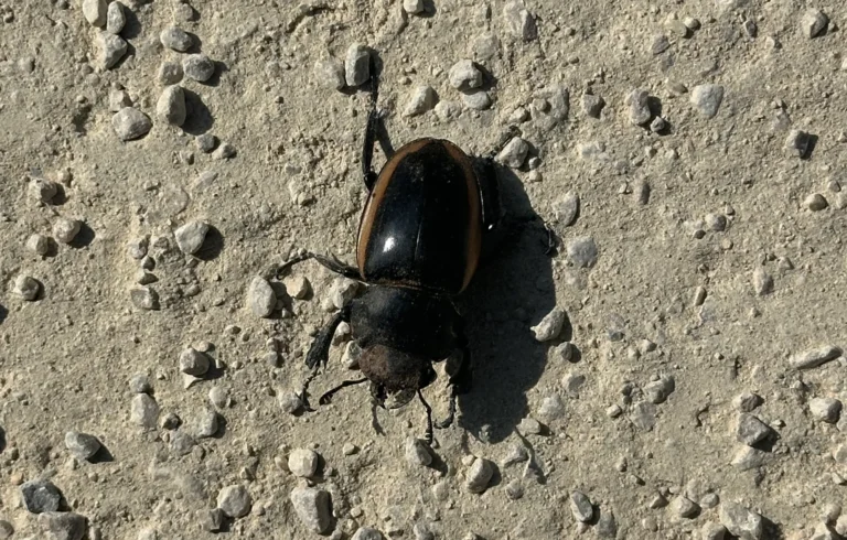 5b6733e2 cfa9 4138 8e7e 2dcdeb0d27dd