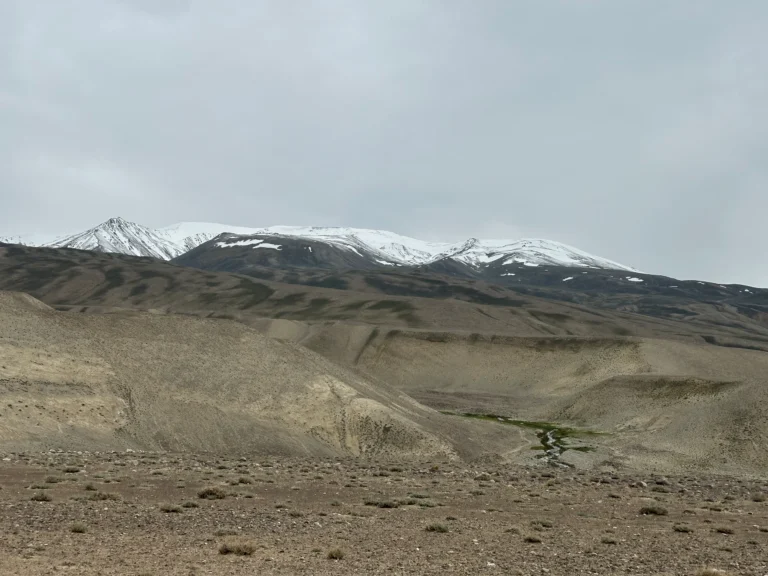 5ccf3daf 9510 480b 84fd 878378f14258