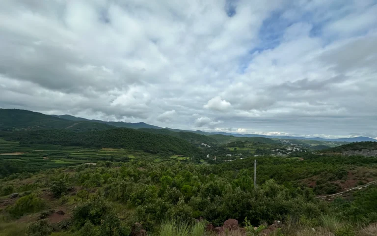 5d28631b a319 4ea1 951e fa1b1cf281e3