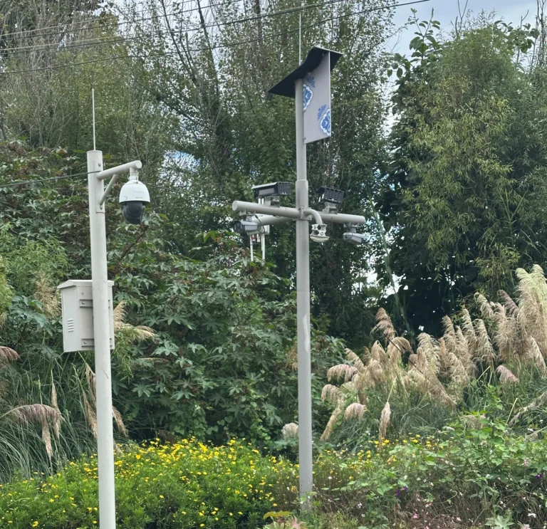 5e9fb007 170b 4b2d b935 4ba653c2e832