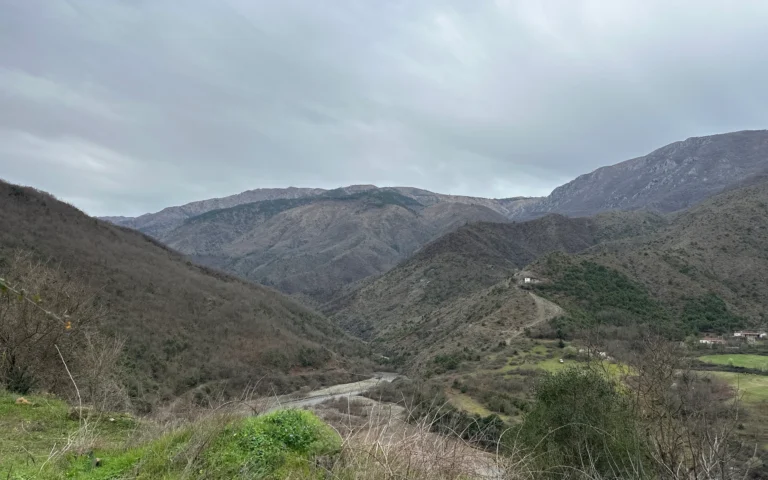 5fc30c79 b7ff 47f1 8f41 49ba20d6240e