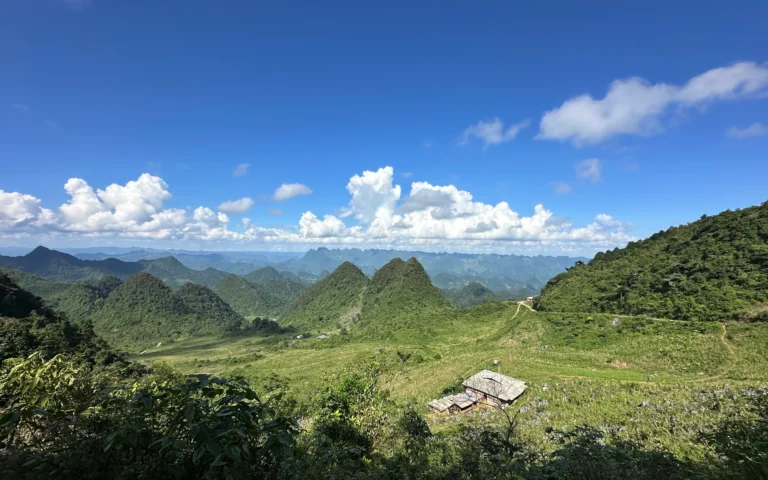 60d69445 5238 4576 9a82 ab31aa87a97f