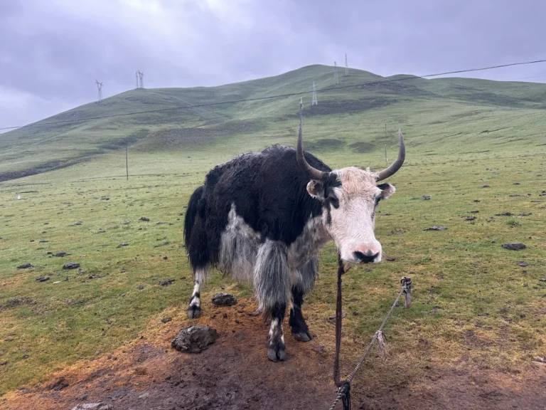 Blog Tag 155 61032a6f e8da 46b7 b729 891b9e6325ab