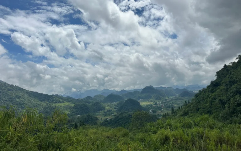 617358bc 87e7 40b4 8b60 5557a992e3c9