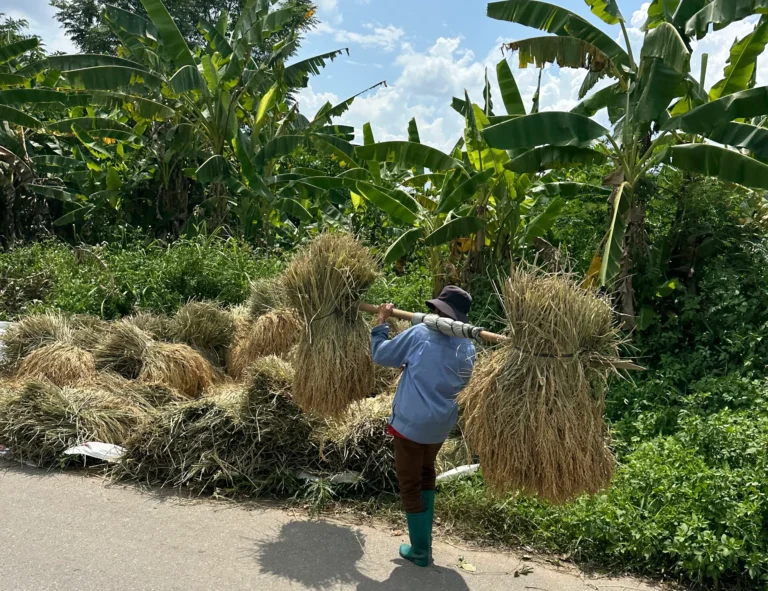 61ebc26b 713e 44bd b53f c8e22ab8c048