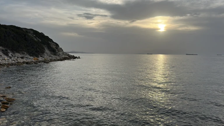 62751923 1ba0 4d6f 839e 5f514de75e0d