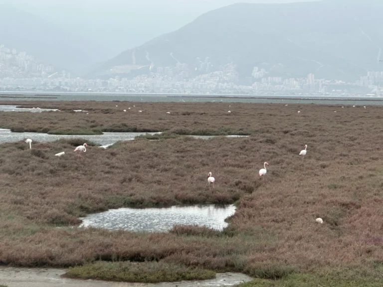 Weltweit 62bc92a8 a171 4b61 a8de 598c99d36c11