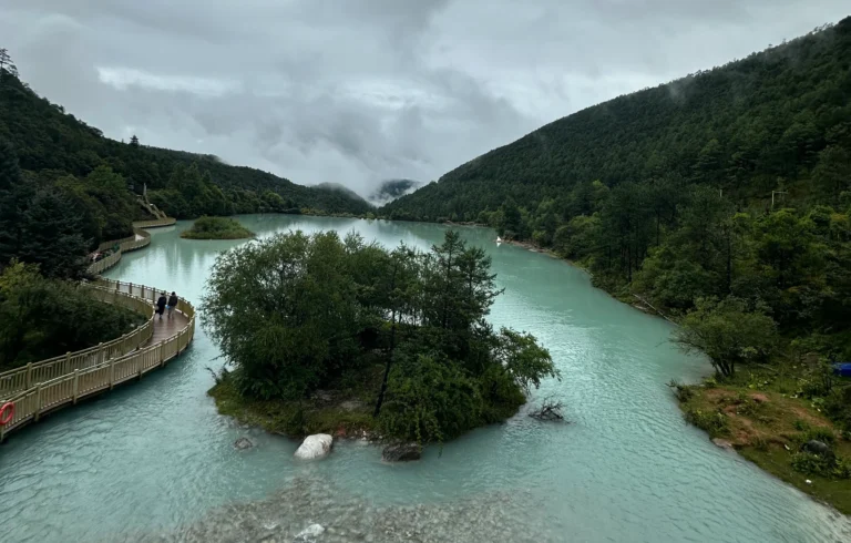 631a3b3d a95b 4a9e 812f cf1141d25538