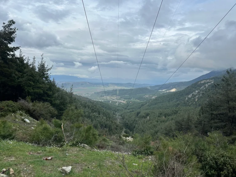 681f5dbd ec65 4209 a454 547afe3a01b5