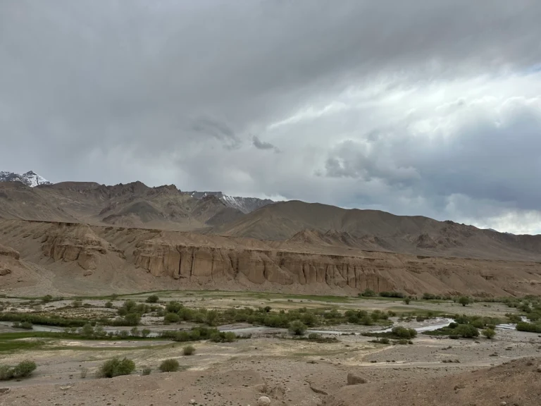 69421ce0 23fe 4c74 8865 97487793db02