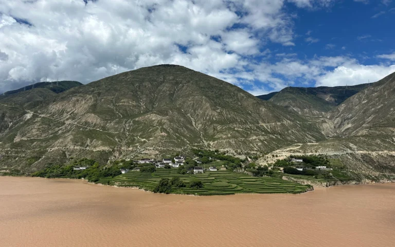 696d5f14 39f9 4b56 aa32 56b87bace2fc