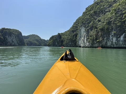 6a89e18f 79d3 4d67 a788 15fae2ba404f 4 5005 c