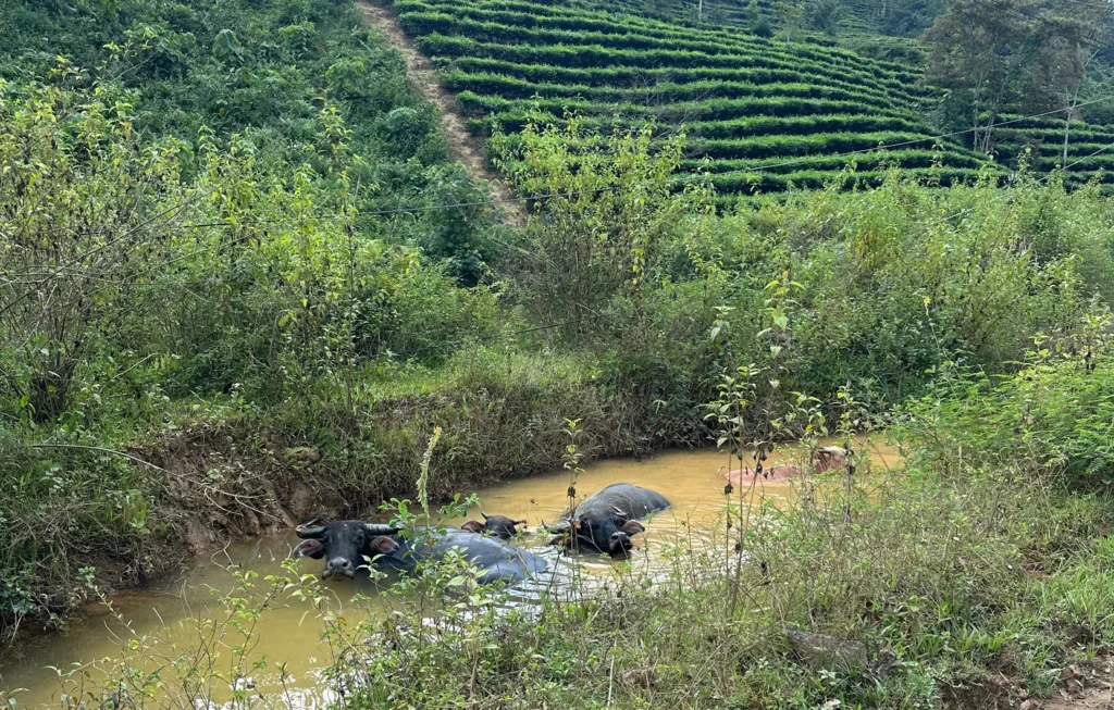 6b90cb74 0521 4237 9776 16c583888f53