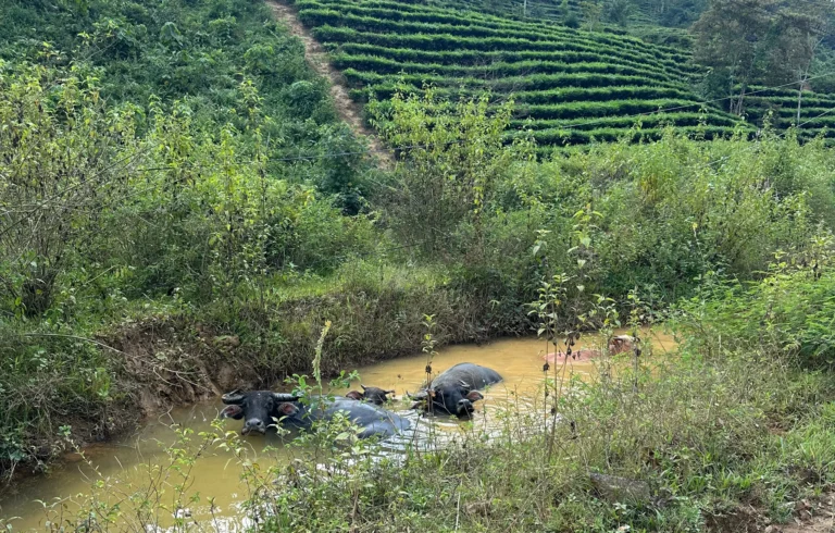 6b90cb74 0521 4237 9776 16c583888f53