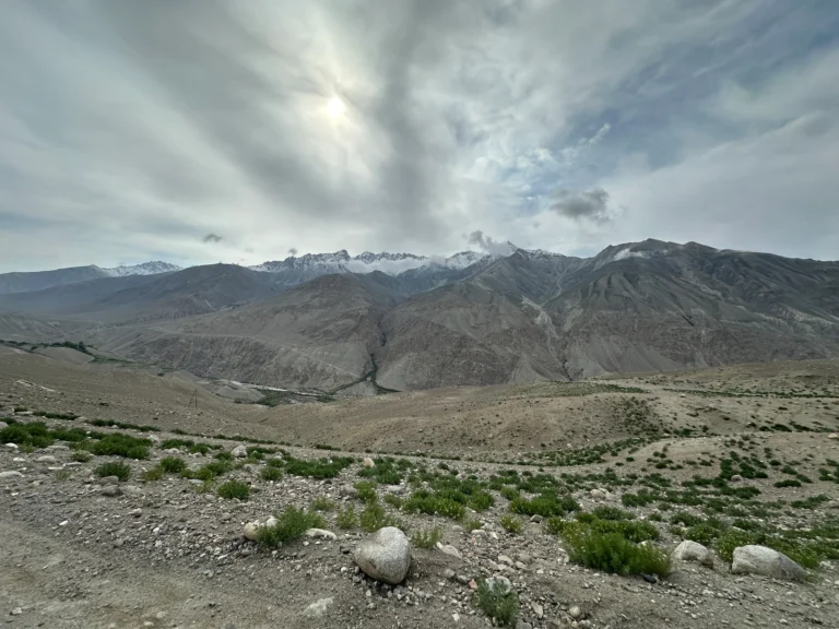 6c51c89f 6f37 4c08 833b 09da4dc15bc0