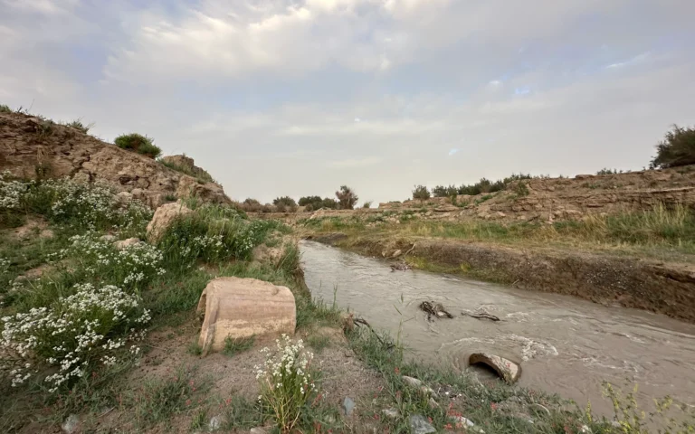 Blog Tag 145 6c58aa6f 863e 4b54 b3d1 a0765c680e69