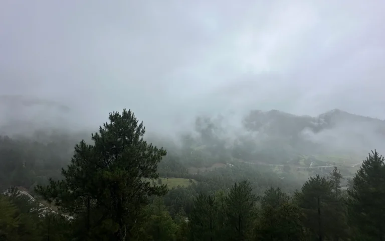 Blog Tag 168 6fa1bafb 3edc 4867 82e2 168a6a176ca8