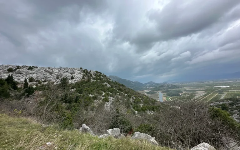 74a3fd14 b985 47d3 bbe1 e2f016963971