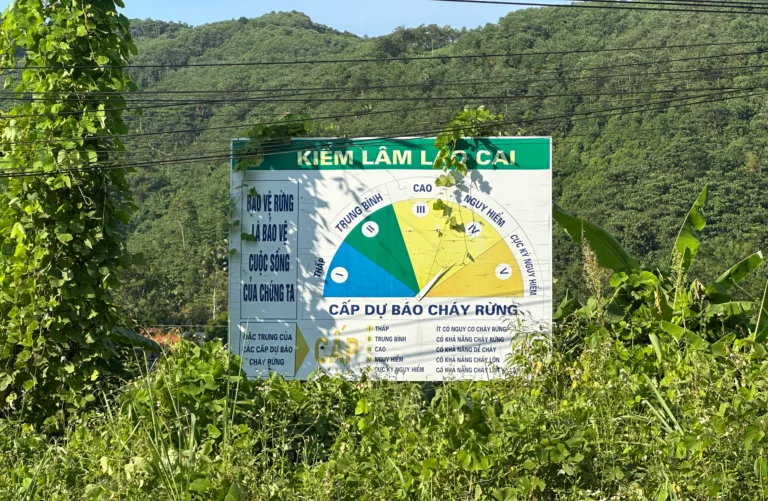 7694ec59 7065 4ff4 9f13 9d7b76aebe68