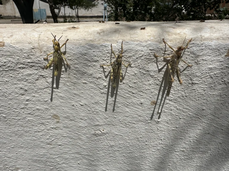 76fbe54a 3569 46c4 8f1d b4b002e1964f