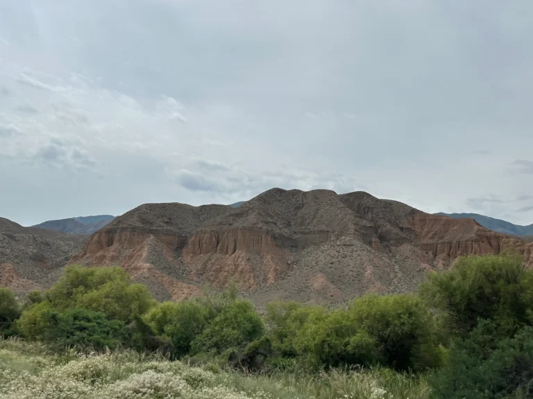 778ec4c0 c486 4b17 8eda f7b632915d5d