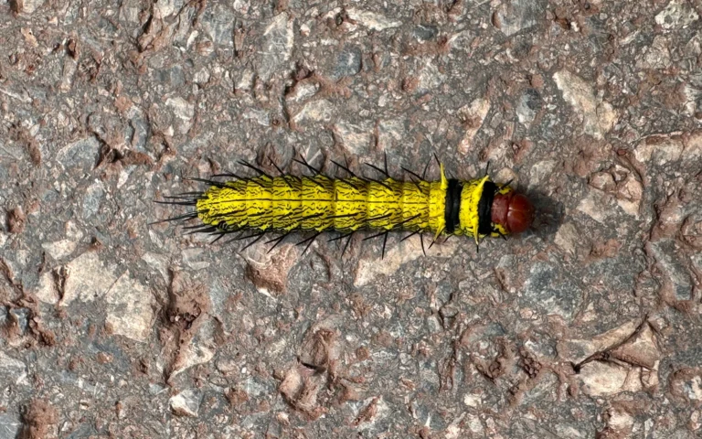 77a84436 cbe8 4e1b bc28 ec4bab9da5da