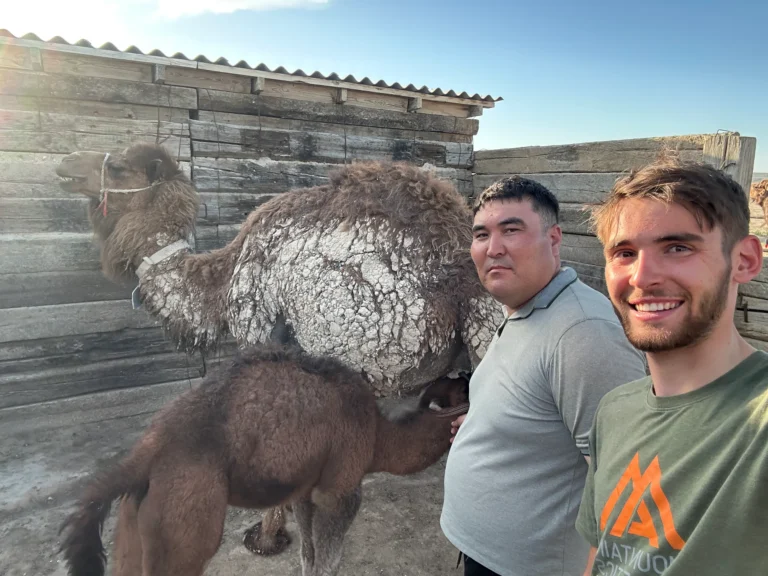 7865cfd5 277d 4049 8aba 5c7f94316f1e