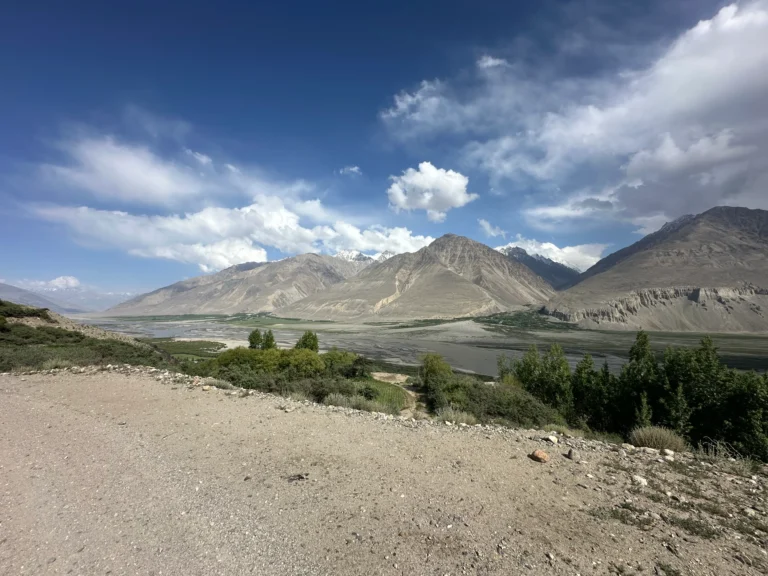 788adc66 1708 4fbe a0bc e1e55be64b03