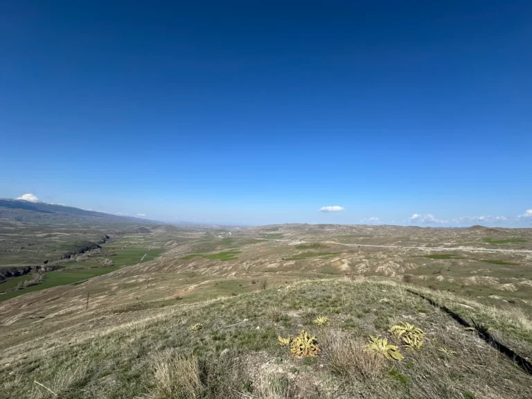 Blog Tag 059 7a0b330f 8790 4f64 8e04 376f0afa5cb5