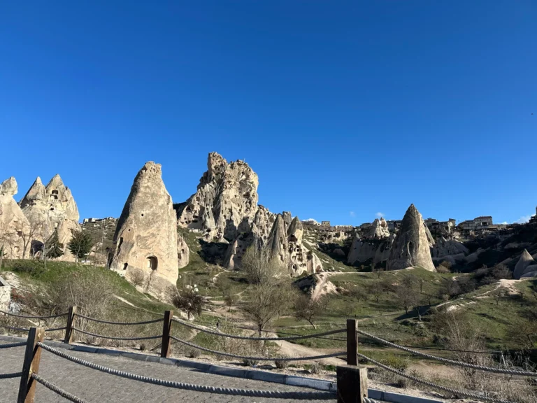 7ca00511 164f 4318 b9f4 f823f6d32ef1