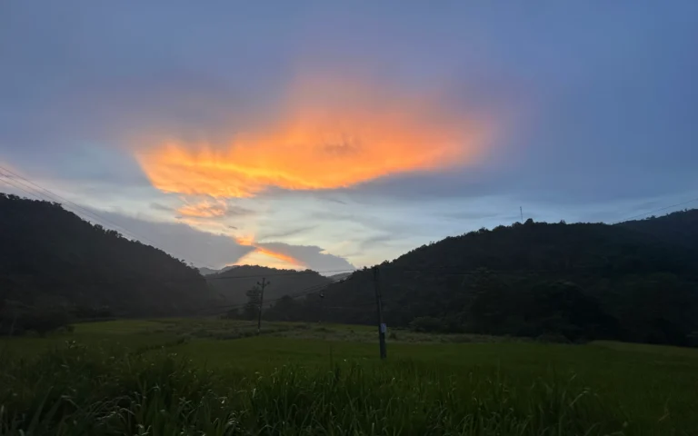 Blog Tag 192 7d979b1e a710 4b47 b117 a146262f274f