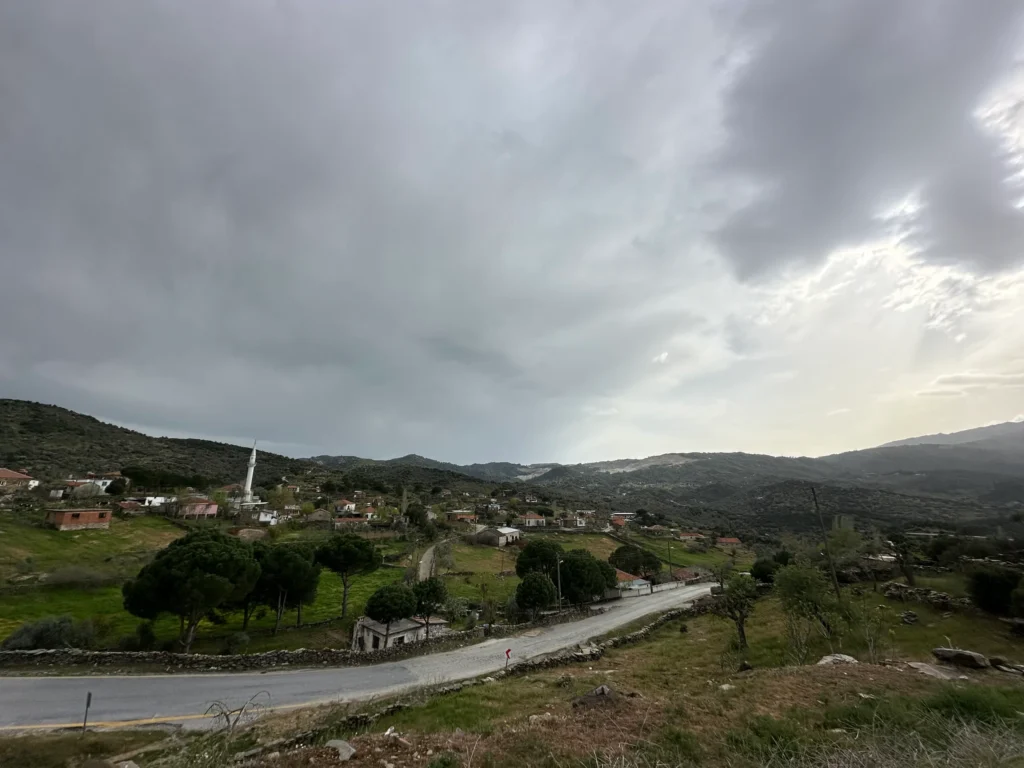 7fa2c5af f663 4f13 9ba8 501997a61b83