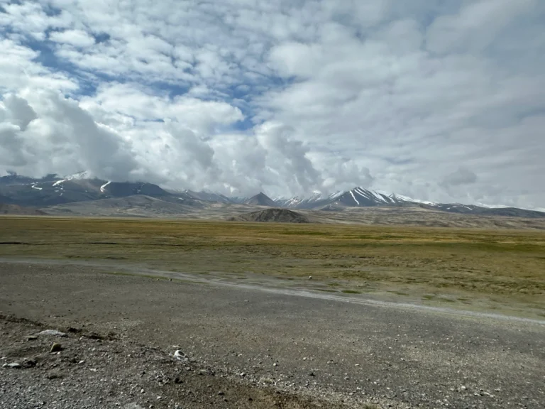 81885ba6 00da 4cc2 9310 6411a7ef3c6f