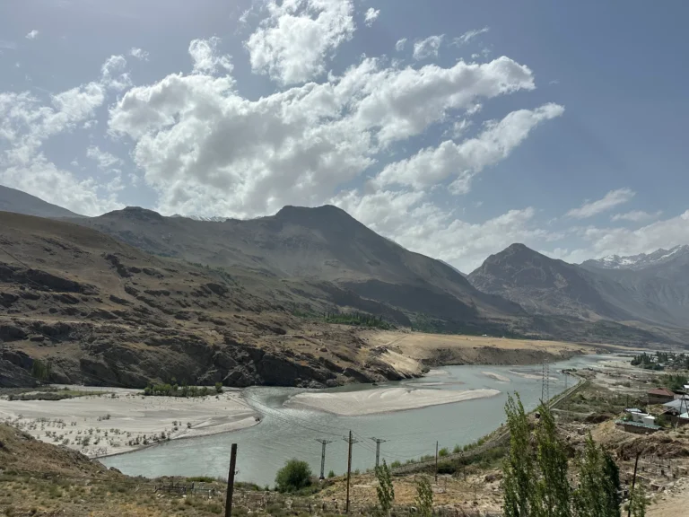 81d236b7 033d 4a62 b5c0 4b990e98d102