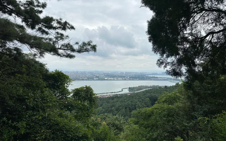 Blog Tag 177 82383be1 045a 4946 837b 99b3a7256c5f