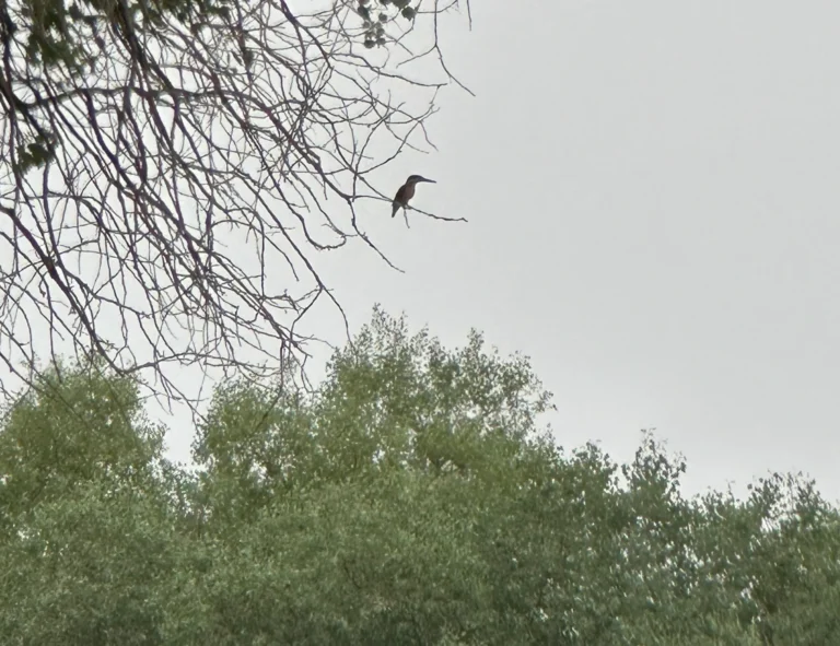 84f95856 7e79 4f90 859c 16abd9d9798a