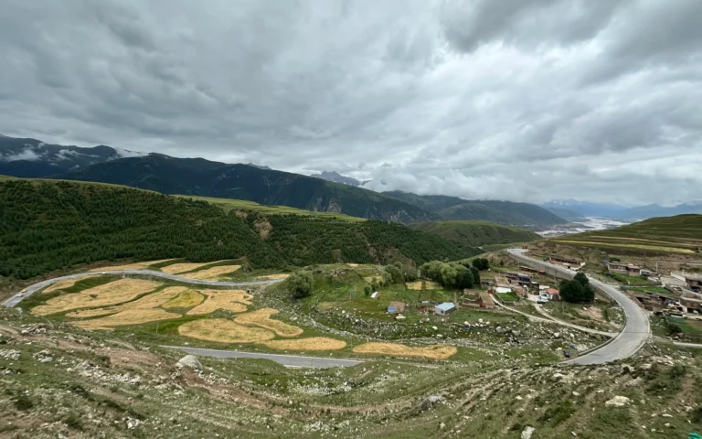 854f79e7 ae2f 443e a365 f5447e817ab7