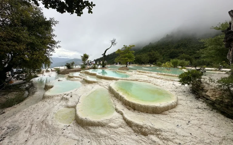 868bc1a1 0d82 4c3e a924 d017c2027862