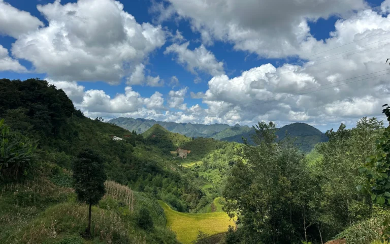 8735db05 3053 4a91 9238 7219a43a2db8