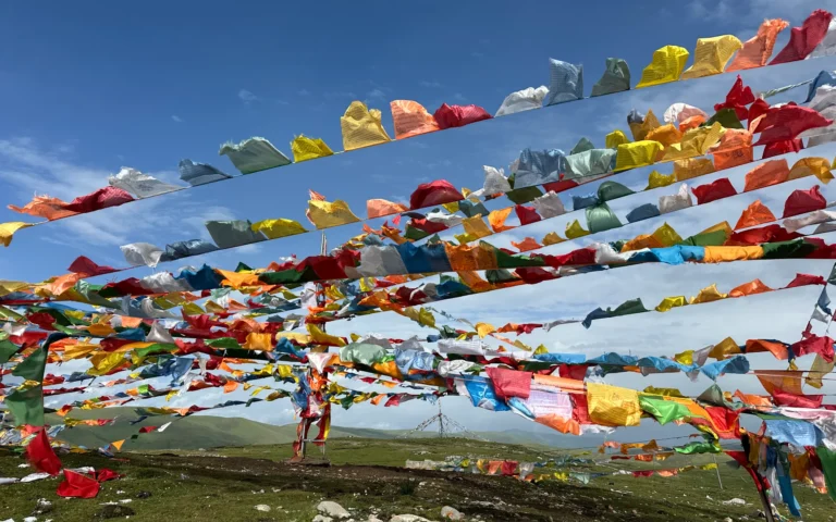 8b66038d 017c 45a8 b92e 18760dda934f