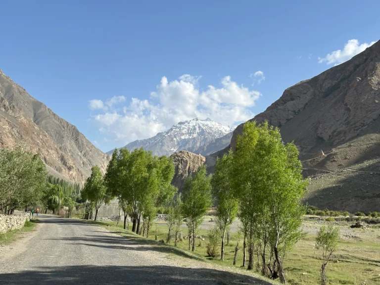 Blog Tag 100 8c727be0 764f 48eb 9263 3c90f96a5e0f