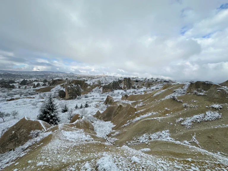 8c83d5f4 aa9b 43c0 817a 7c5bc0bdf7b7