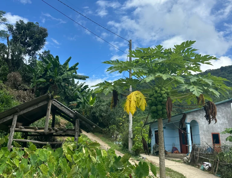 8e356ee2 91db 4ac7 bf3c 3e8c82cb84c5