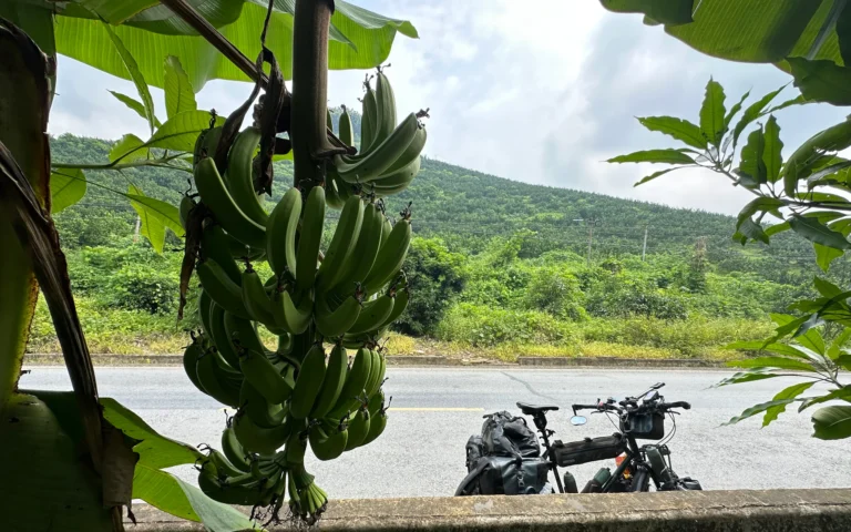 Blog Tag 181 8e9924fd 773c 45bf a540 4541e66475d3